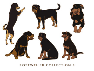 Rottweiler Dog Color Illustrations in Various Poses - Collection 3