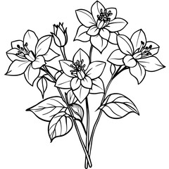 Columbine flower outline illustration coloring book page design, Columbine flower black and white line art drawing coloring book pages for children and adults
