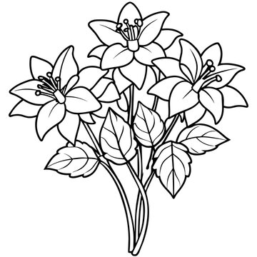 recommend clip art: Columbine flower outline illustration coloring book page design, Columbine flower black and white line art drawing coloring book pages for children and adults
                    