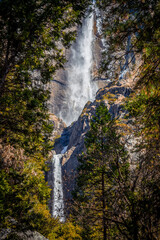 Fototapeta premium Yosemite Falls through the Trees, Yosemite National Park, California