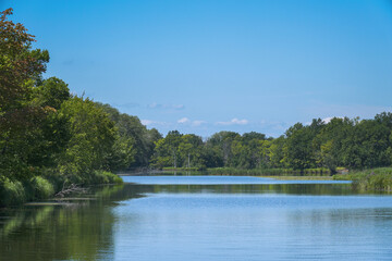 A green forest on the opposite shore of a lake or river