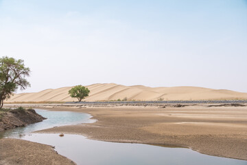 sand dunes and lake