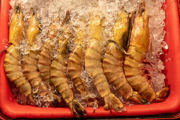 Shrimp on Ice on a counter in Thailand