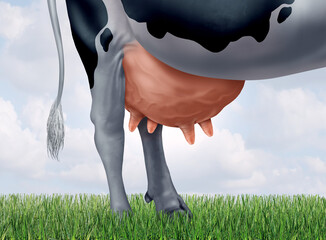 Dairy Farming Industry as Raw milk female bovine representing agricultural milking cows producing cheese butter and yogurt products as a cow with large udders.