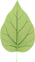 Fototapeta premium An image of a stylized leaf.