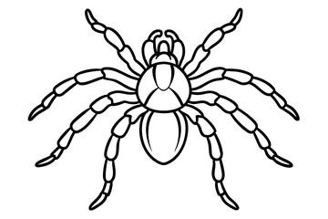 tarantula line art silhouette illustration