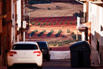 Cultivated fields across the streets of Alhambra