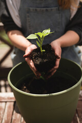 Close up of woman's hands holding young plant with soil outdoors