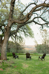 Chairs under an oak tree overlooking hills