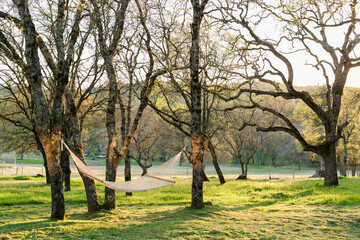 Hammock tied between oak trees in a lush meadow