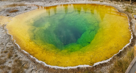 The many colors of Yellowstone Pools
