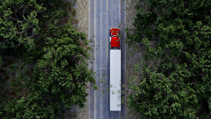 3D illustraton Aerial View Above Road in Forest. Traveling alone on dense flat forest asphalt straight empty road