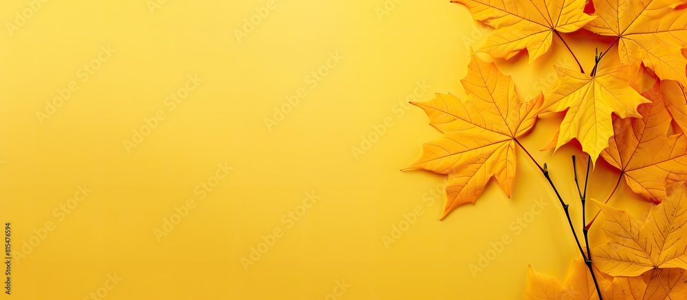 Poster a copy space image featuring autumn themed maple leaves placed centrally on a yellow background