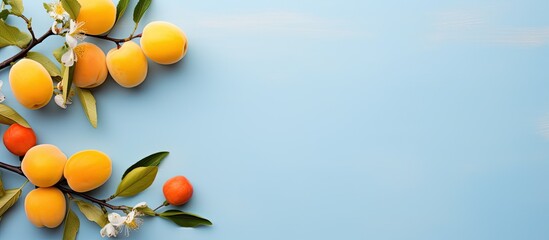 A top down view of a flat lay arrangement featuring two branches with yellow leaves and plums on a light blue background The composition includes a frame blank paper and ample copy space