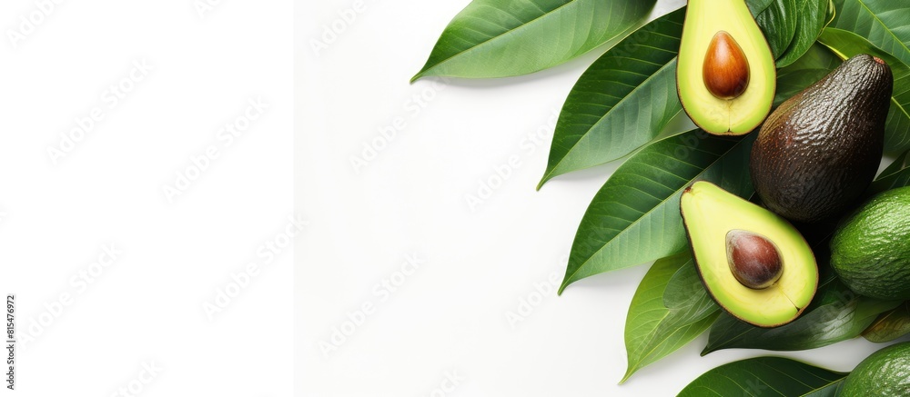 Poster A tropical abstract background featuring an avocado and leaf on a white backdrop Presented in a flat lay style with a top view allowing for copy space in the image