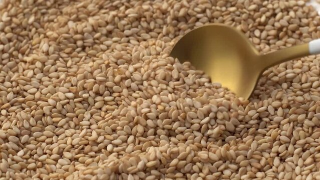 Macro video of sesame seeds. Bunch of sesame seeds placed on rotating disk.