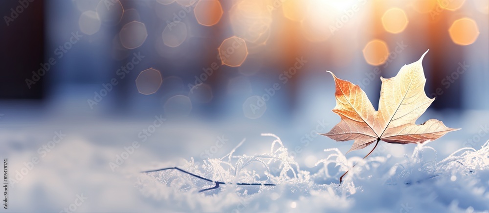 Aufkleber abstract blurred snowy winter background with glowing leaf backdrop and snowflakes perfect for copy 