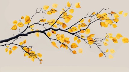 Fall tree branch with yellow leaves