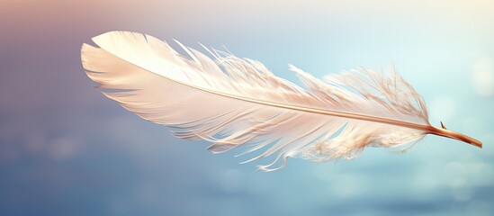 Naklejka premium A feather gracefully drifting through the sky leaving a trail of serenity in its wake. Creative banner. Copyspace image