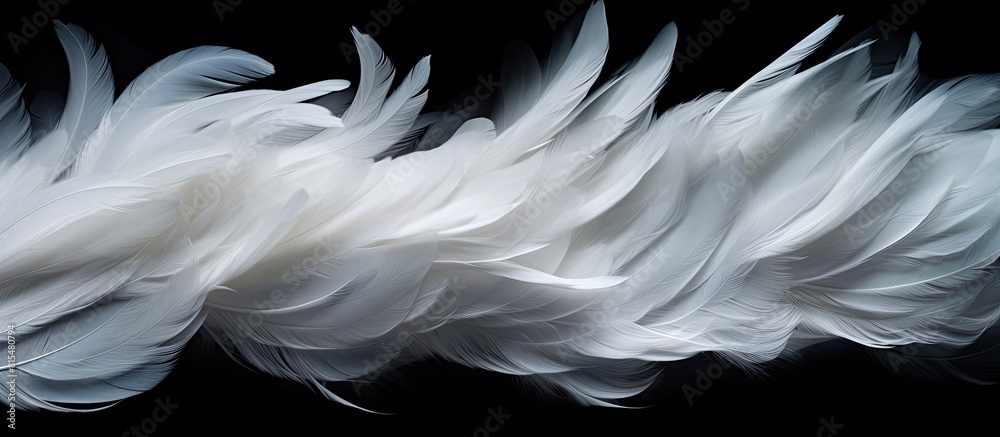 Aufkleber Abstract white feathers gracefully descending in the darkness creating a captivating visual against the black backdrop Ideal for copy space images