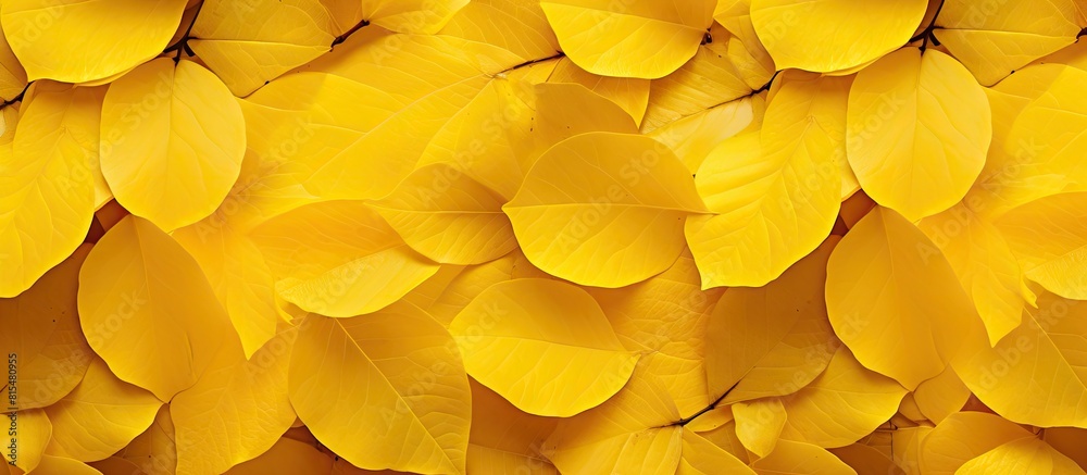 Poster a vibrant display of yellow birch leaves perfect for a copy space image