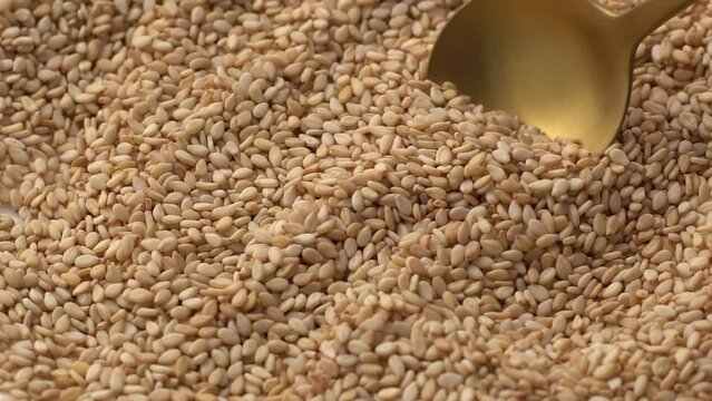 Macro video of sesame seeds. Bunch of sesame seeds placed on rotating disk.