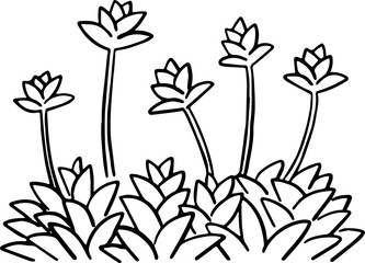 hand drawn side view of tree drawing.