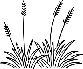 hand drawn side view of tree drawing.