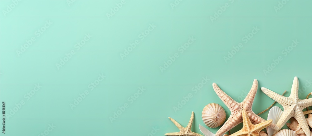 Fototapete Create a design with model starfish and shells on a light green background perfect for adding copy space to your image