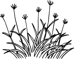 hand drawn side view of tree drawing.