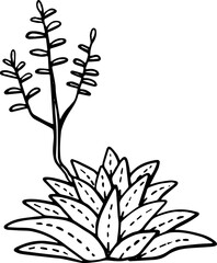 hand drawn side view of tree drawing.