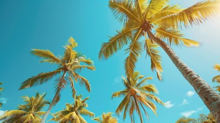 Beneath a clear blue sky palm trees sway against the backdrop of a tropical island beach