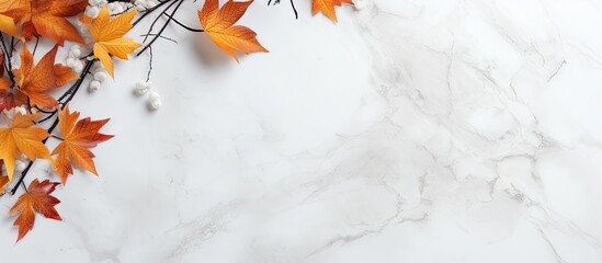 White marble background with autumn natural decor and copy space image