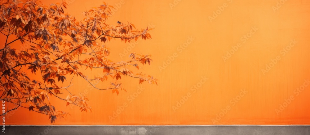 Poster An orange wall is graced by the delicate gray shadows of maple tree leaves creating an abstract autumn background The overlay effect adds depth and emphasis to the image Ample copy space is provided