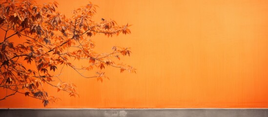 An orange wall is graced by the delicate gray shadows of maple tree leaves creating an abstract autumn background The overlay effect adds depth and emphasis to the image Ample copy space is provided