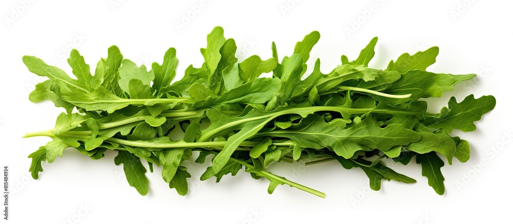 Poster Top view of a rucola or arugula leaf isolated on a white background creating a flat lay pattern with ample copy space for your text