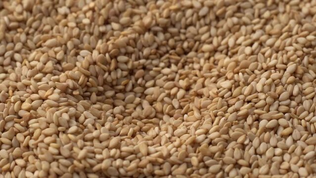 Macro video of sesame seeds. Bunch of sesame seeds placed on rotating disk.