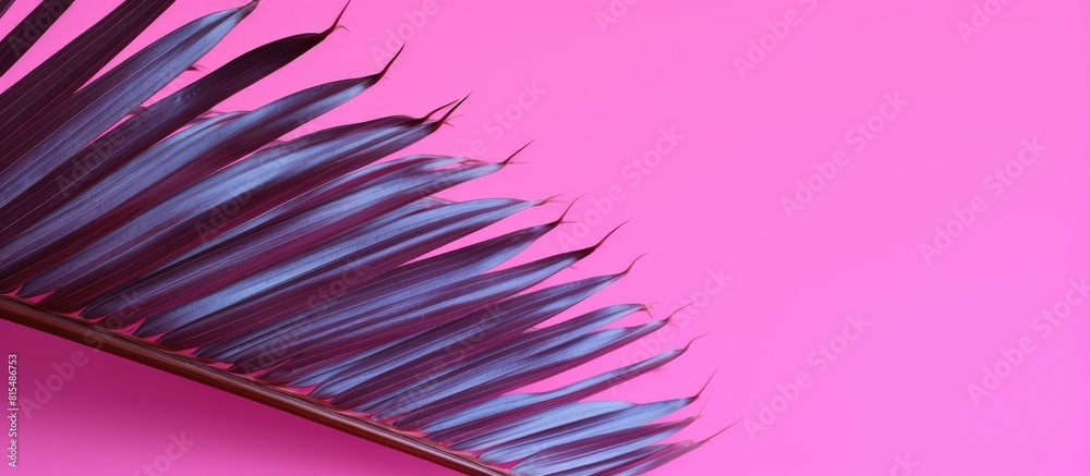 Aufkleber copy space image of a palm tree leaf against a vibrant pink backdrop