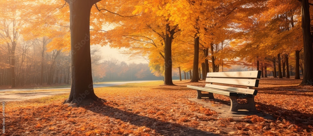 Poster a vibrant display of autumn leaves provides a picturesque backdrop for outdoor activities in the par