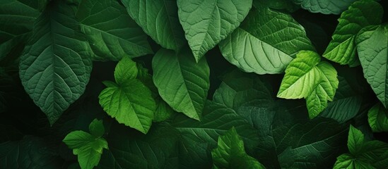 A copy space image featuring a textured leaf wallpaper with green leaves creates a natural background providing ample space for text