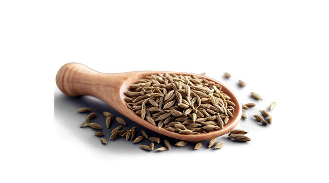 high resolution photo of cumin on transparent background