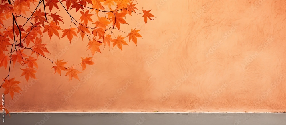 Poster An orange wall is graced by the delicate gray shadows of maple tree leaves creating an abstract autumn background The overlay effect adds depth and emphasis to the image Ample copy space is provided