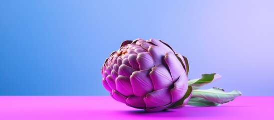 A fresh artichoke displayed in close range on a vibrant pink background with ample copy space for an image