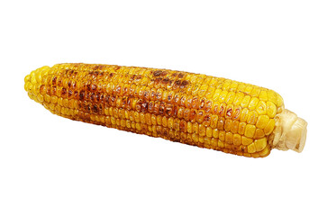 焼きとうもろこしのイラスト リアル 白バック