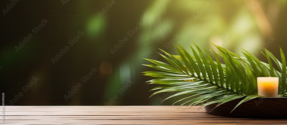 Poster aesthetic copy space image of a spa setting with a palm leaf placed delicately on a wooden table