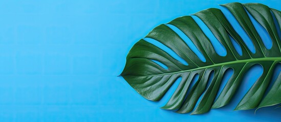 A flat lay image showcases a work space set against a striking blue background adorned with a vibrant tropical leaf providing ample copy space