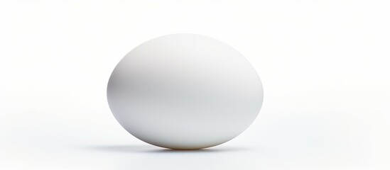 A white egg with shadow isolated on a white background in a close up copy space image