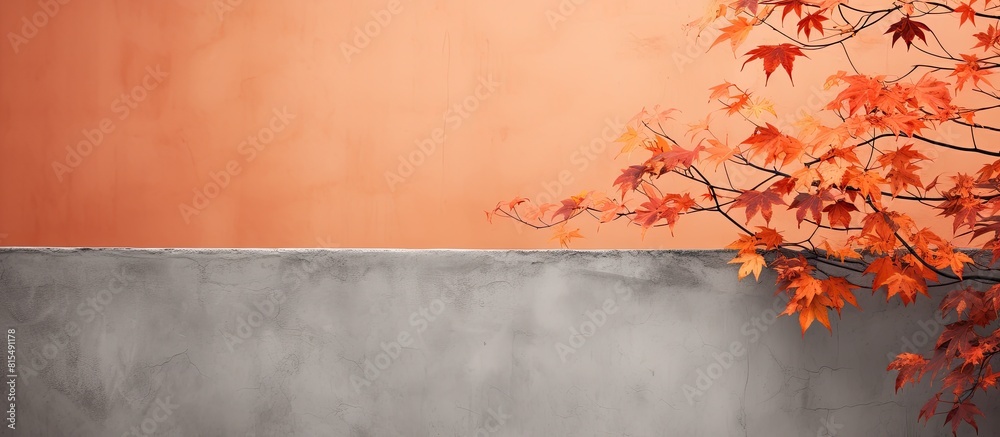 Poster An orange wall is graced by the delicate gray shadows of maple tree leaves creating an abstract autumn background The overlay effect adds depth and emphasis to the image Ample copy space is provided