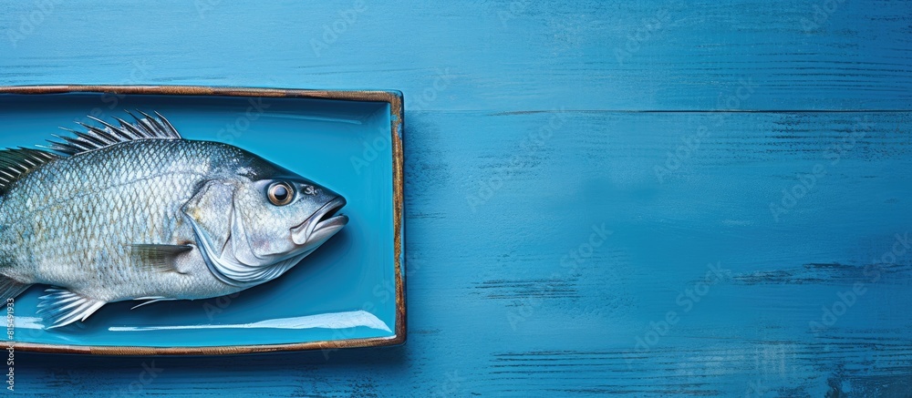 Poster a top down view of a whole uncooked and organic sea perch fish placed on a blue dish with ample room