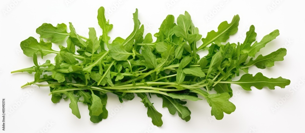 Poster Top view of a rucola or arugula leaf isolated on a white background creating a flat lay pattern with ample copy space for your text